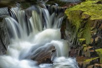 Wasser fließt tagsüber über über Steine und Felsen mit Moos im Wald — Stockfoto