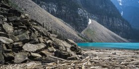 Mucchio di legname alla deriva sulla riva del fiume a piedi di montagna durante il giorno — Foto stock