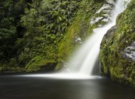 Водопад и пруд против скалы с растениями в дневное время — стоковое фото