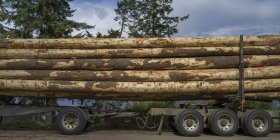 Large logs loaded on a transport truck; Riondel, British Columbia, Canada — Stock Photo