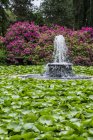 Une fontaine dans l'étang Lily au parc Beacon Hill ; Victoria, Colombie-Britannique, Canada — Photo de stock