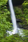 North Falls Plunges Into The Canyon At Silver Falls State Park; Oregon, United States Of America — Stock Photo