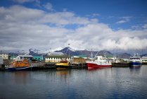 Barche colorate nel porto e edifici lungo il lungomare; Hofn, Islanda — Foto stock