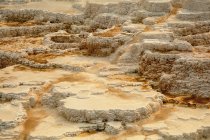 Terraços (feitos de carbonato de cálcio cristalizado) dominam a paisagem em Mammoth Hot Springs, Yellowstone National Park; Wyoming, Estados Unidos da América — Fotografia de Stock