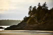 A Dog And It's Owner Stand Along The Coast During Low Tide At Sunset; Tofino, British Columbia, Canada — Stock Photo