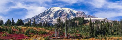 Перегляд Mount Rainier, Mount Rainier національного парку; Вашингтон, Сполучені Штати Америки — стокове фото