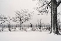 Blizzard Conditions By The Jacqueline Kennedy Onassis Reservoir, Central Park; New York City, New York, United States Of America — Stock Photo