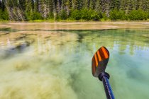 Paddeln über Flusswasser mit Bäumen am Ufer tagsüber — Stockfoto