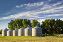 Una fila di grandi contenitori di grano metallico all'alba con alberi sullo sfondo e nuvole e cielo blu; Alberta, Canada — Foto stock