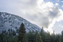 Anzeichen eines frühen Winters auf einem Hügel, in der Nähe von Unkraut; Kalifornien, Vereinigte Staaten von Amerika — Stockfoto