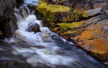Вода опускается над камнями и камнями в лесу в дневное время — стоковое фото