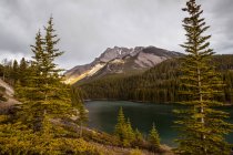 Montañas y lagos de Alberta; Alberta, Canadá - foto de stock