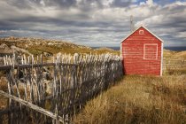 Старий дерев'яний червоний сарай і паркан над полем з рослинами, травою і камінням під хмарним небом — стокове фото