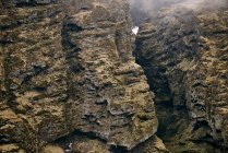 Прочные скалы с пуффинами, пенсне Снефельснеса; Исландия — стоковое фото