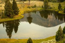 Immergrüne Bäume und Hügel, die sich im Sommer in einem kleinen Teich im Yellowstone-Nationalpark spiegeln (Rauch in der Luft trägt zu goldener Farbe bei). — Stockfoto