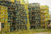 Желтые и зеленые рыболовные ловушки в кучах на берегу Атлантического побережья; Ньюфаундленд, Канада — стоковое фото