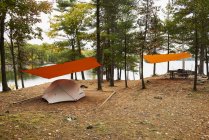 Camping Beside Birch Lake; Ontario, Canadá - foto de stock