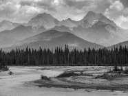 Schwarz-weißes Bild auf Wald am Ufer gegen Flusswasser und Gipfel in der Ferne — Stockfoto