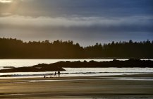 Silhueta de um casal e suas bicicletas na praia de Mackenzie ao pôr do sol; Tofino, Colúmbia Britânica, Canadá — Fotografia de Stock