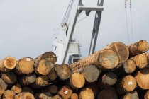Los troncos se apilan en un muelle para la exportación; Astoria, Oregon, Estados Unidos de América - foto de stock