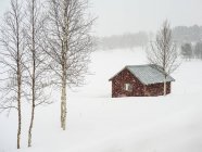 Snow Falling Over A Rural Landscape And A Small Red Building; Arjeplog, Norrbotten County, Suécia — Fotografia de Stock