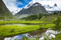Lac de Combal et prairie verte dans le Val Veni avec des montagnes en arrière-plan, Alpes ; Vallée d'Aoste, Italie — Photo de stock