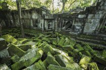 Musgo crescendo sobre pedras caídas nas ruínas do templo Khmer de Beng Meala; Siem Reap, Camboja — Fotografia de Stock