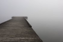 Ein kleines hölzernes Dock mit dichtem Nebel am Ende über dem Wasser des Scottsees im Herbst; olympia, washington, vereinigte staaten von amerika — Stockfoto