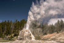 Lone Star Geyser est un geyser de type cône situé dans le bassin Lone Star Geyser du parc national de Yellowstone, Wyoming, États-Unis d'Amérique. — Photo de stock