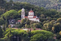 Una iglesia y edificios en una ladera rodeada de árboles; Herceg Novi, Montenegro - foto de stock