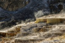 Mammoth Springs, a hot mineral springs, Yellowstone National Park, Wyoming, Estados Unidos de América - foto de stock