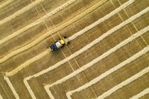 Aerial artistic view directly above a combine collecting lines of grain; Beiseker, Alberta, Canada — Stock Photo
