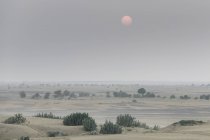 Пустелі Тар, великому індійської пустелі; Damodara, штаті Раджастан, Індія — стокове фото