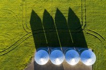 Diretamente acima de grandes caixas de grãos de metal em um campo verde de canola com longas sombras dramáticas em todo o campo, a leste de Calgary; Alberta, Canadá — Fotografia de Stock