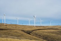 Des éoliennes marquent l'horizon dans l'est de Washington ; Maryhill, Washington, États-Unis d'Amérique — Photo de stock