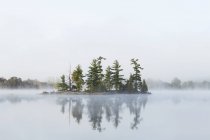La nebbia avvolge una piccola isola sul lago Turtle nella regione di Muskoka dell'Ontario, vicino a Rosseau; Ontario, Canada — Foto stock