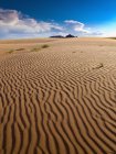Ondulations dans une scène désertique estivale sablonneuse ; Hanksville, Utah, États-Unis d'Amérique — Photo de stock