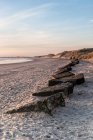 Vista temprana de la mañana de la playa de Amble que muestra una línea de defensas de hormigón de la Segunda Guerra Mundial enterradas en la arena; Amble by the Sea, Northumberland, Inglaterra - foto de stock