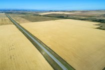 Aerial view of golden fields divided by a road and mountains in the distance with blue sky; Alberta, Canada — Stock Photo