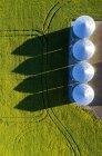 Direttamente sopra grandi bidoni di grano metallico in un campo verde di colza con lunghe ombre drammatiche attraverso il campo, a est di Calgary; Alberta, Canada — Foto stock
