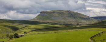 Champs verts luxuriants divisés par des murs de pierre et Penyghent dans le parc national Yorkshire Dales ; Yorkshire, Angleterre — Photo de stock