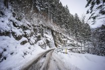Tire tracks in a snow covered road beside a forest on a mountainside, Hauptstrasse Road; Switzerland — Stock Photo