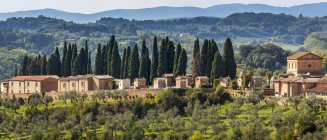 Bâtiments en pierre, église et cimetière sur un paysage de collines couvertes d'arbres ; Sienne, Toscane, Italie — Photo de stock