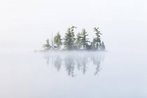 La niebla cubre una pequeña isla en el lago Tortuga en la región de Muskoka de Ontario, cerca de Rosseau; Ontario, Canadá - foto de stock