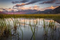 Ruhige Landschaft bei Sonnenaufgang mit Spiegelungen im Wasser im Vordergrund und einer Gebirgskette in der Ferne, kluane Nationalpark und Naturschutzgebiet; Zerstörungsbucht, Yukon, Kanada — Stockfoto