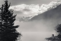 Silhouette of a photographer on the shore of Lake Louise with fog rising from the lake at sunrise, Banff National Park; Lake Louise, Alberta, Canada — Stock Photo