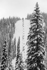 Ein Sessellift, der einen steilen Hang auf einem schneebedeckten Skihügel im Wildwasserresort hinauf fährt; nelson, britisch columbia, canada — Stockfoto