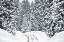Засніжена з крижаної стані в горах; Кено, Сполучені Штати Америки — стокове фото