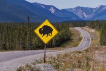 Bison sign posted on the side of the Alaska Highway; British Columbia, Canada — стоковое фото