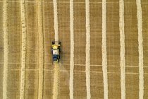 Aerial artistic view directly above a combine collecting lines of grain; Beiseker, Alberta, Canada — Stock Photo
